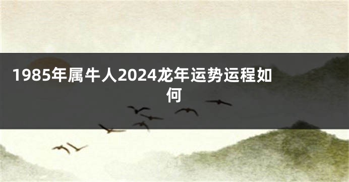 1985年属牛人2024龙年运势运程如何