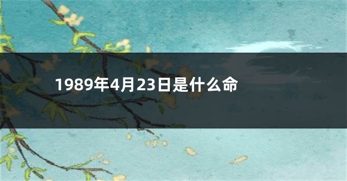 1989年4月23日是什么命