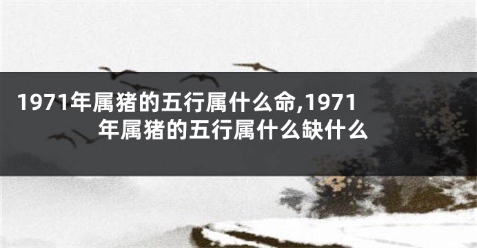 1971年属猪的五行属什么命,1971年属猪的五行属什么缺什么