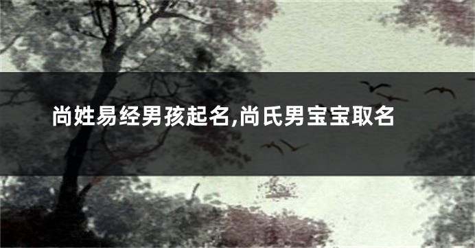 尚姓易经男孩起名,尚氏男宝宝取名