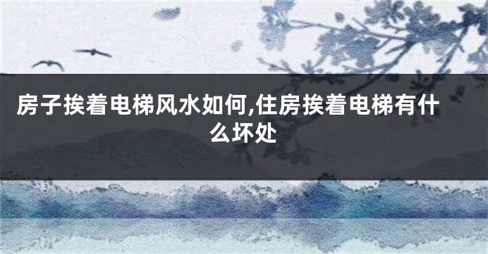 房子挨着电梯风水如何,住房挨着电梯有什么坏处