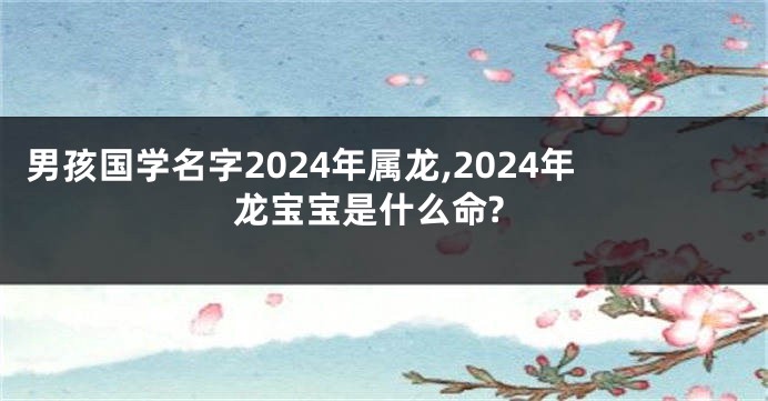 男孩国学名字2024年属龙,2024年龙宝宝是什么命?