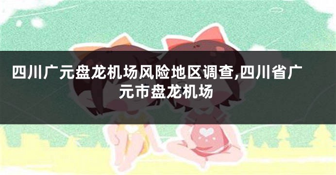 四川广元盘龙机场风险地区调查,四川省广元市盘龙机场