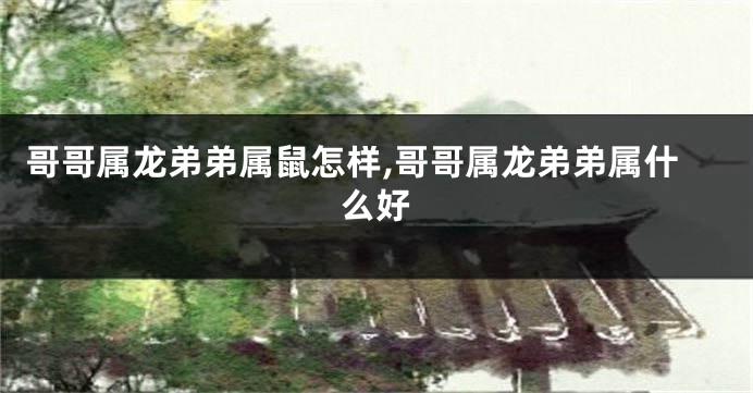 哥哥属龙弟弟属鼠怎样,哥哥属龙弟弟属什么好