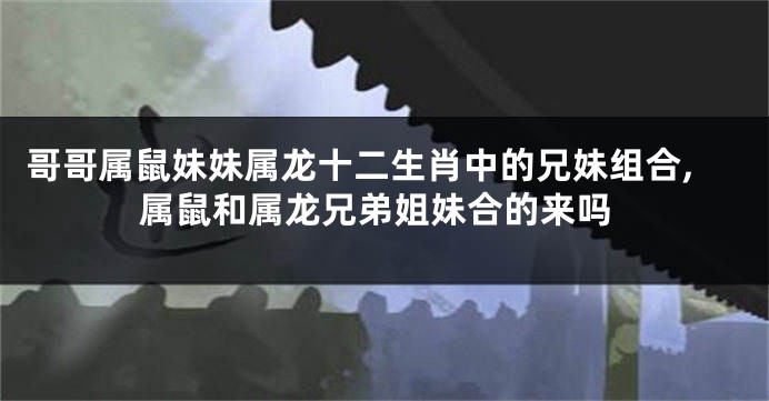 哥哥属鼠妹妹属龙十二生肖中的兄妹组合,属鼠和属龙兄弟姐妹合的来吗