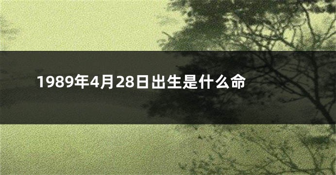 1989年4月28日出生是什么命