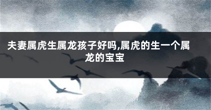 夫妻属虎生属龙孩子好吗,属虎的生一个属龙的宝宝