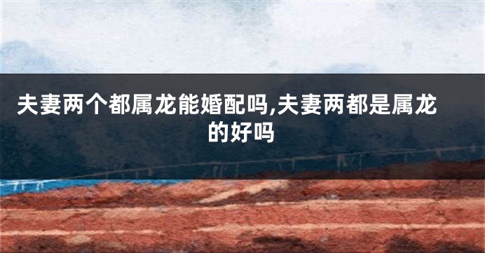 夫妻两个都属龙能婚配吗,夫妻两都是属龙的好吗