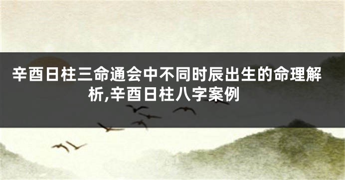 辛酉日柱三命通会中不同时辰出生的命理解析,辛酉日柱八字案例