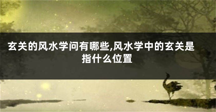 玄关的风水学问有哪些,风水学中的玄关是指什么位置