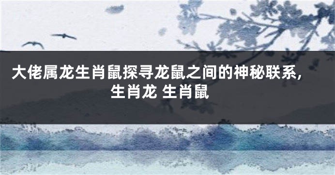 大佬属龙生肖鼠探寻龙鼠之间的神秘联系,生肖龙 生肖鼠