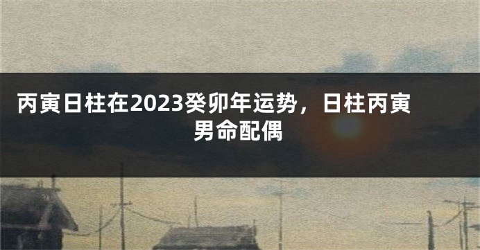 丙寅日柱在2023癸卯年运势，日柱丙寅男命配偶