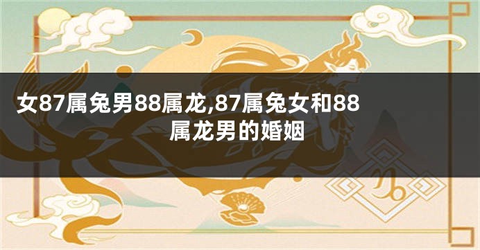 女87属兔男88属龙,87属兔女和88属龙男的婚姻