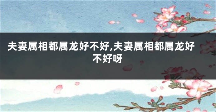 夫妻属相都属龙好不好,夫妻属相都属龙好不好呀