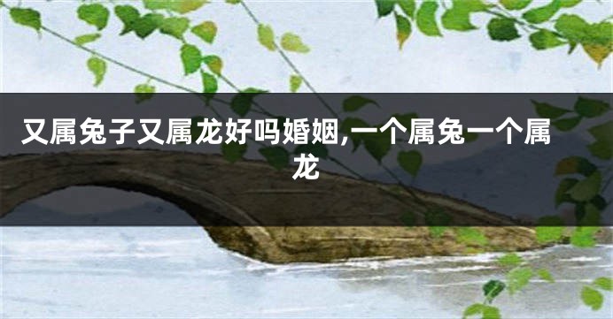 又属兔子又属龙好吗婚姻,一个属兔一个属龙