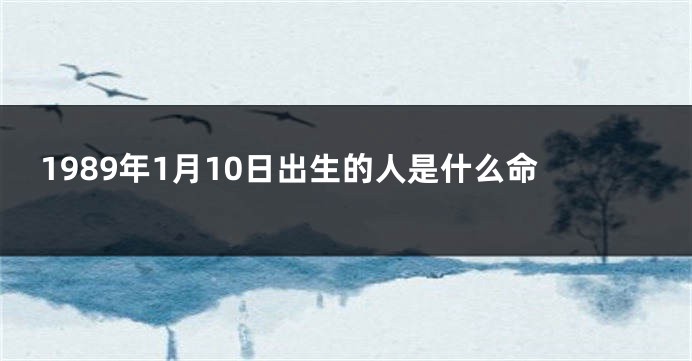 1989年1月10日出生的人是什么命