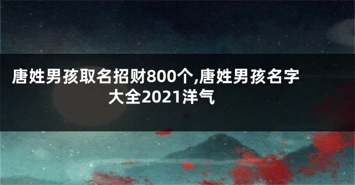 唐姓男孩取名招财800个,唐姓男孩名字大全2021洋气