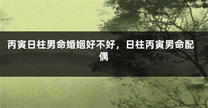 丙寅日柱男命婚姻好不好，日柱丙寅男命配偶