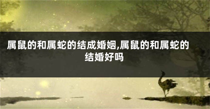 属鼠的和属蛇的结成婚姻,属鼠的和属蛇的结婚好吗