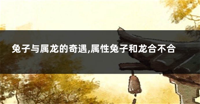 兔子与属龙的奇遇,属性兔子和龙合不合