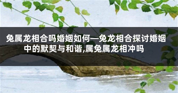 兔属龙相合吗婚姻如何—兔龙相合探讨婚姻中的默契与和谐,属兔属龙相冲吗