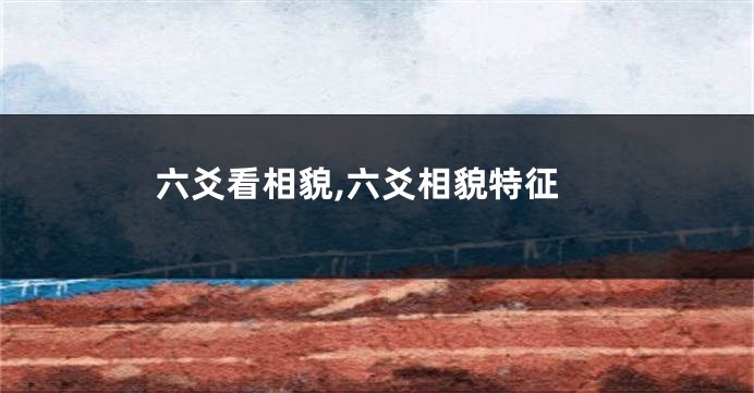六爻看相貌,六爻相貌特征