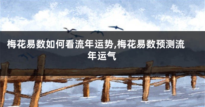 梅花易数如何看流年运势,梅花易数预测流年运气