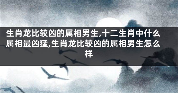 生肖龙比较凶的属相男生,十二生肖中什么属相最凶猛,生肖龙比较凶的属相男生怎么样