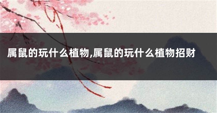 属鼠的玩什么植物,属鼠的玩什么植物招财