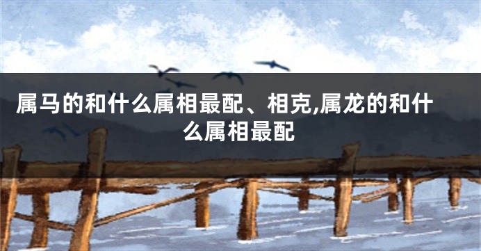 属马的和什么属相最配、相克,属龙的和什么属相最配
