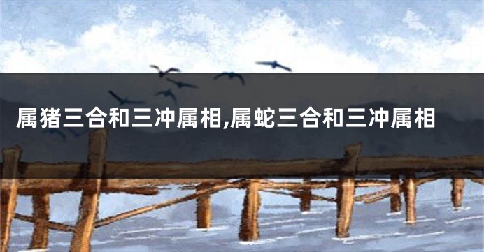 属猪三合和三冲属相,属蛇三合和三冲属相