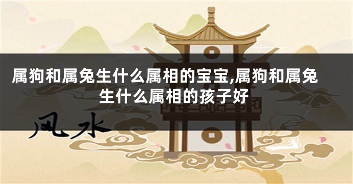 属狗和属兔生什么属相的宝宝,属狗和属兔生什么属相的孩子好
