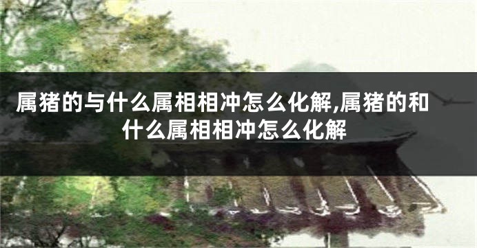 属猪的与什么属相相冲怎么化解,属猪的和什么属相相冲怎么化解