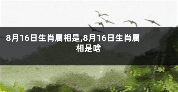 8月16日生肖属相是,8月16日生肖属相是啥
