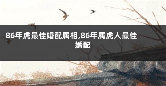 86年虎最佳婚配属相,86年属虎人最佳婚配