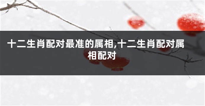 十二生肖配对最准的属相,十二生肖配对属相配对