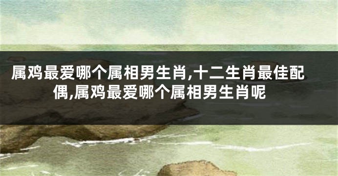 属鸡最爱哪个属相男生肖,十二生肖最佳配偶,属鸡最爱哪个属相男生肖呢