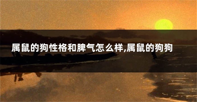 属鼠的狗性格和脾气怎么样,属鼠的狗狗
