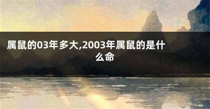 属鼠的03年多大,2003年属鼠的是什么命