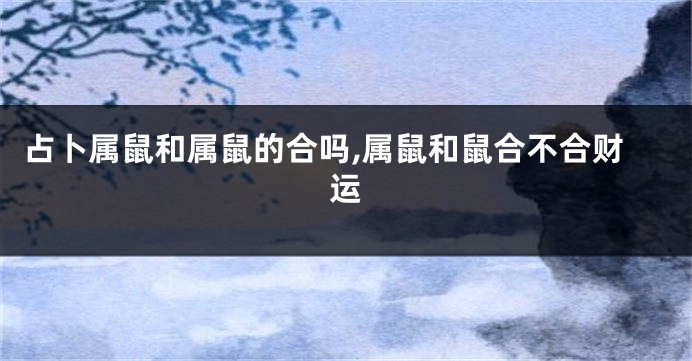 占卜属鼠和属鼠的合吗,属鼠和鼠合不合财运