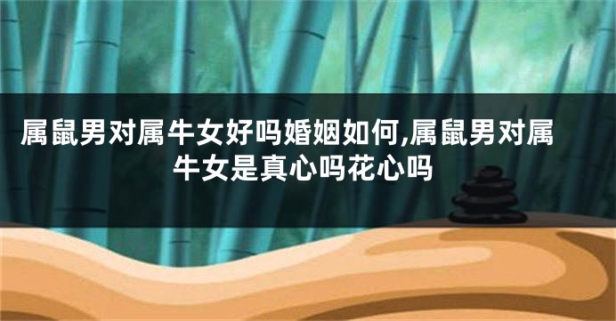属鼠男对属牛女好吗婚姻如何,属鼠男对属牛女是真心吗花心吗