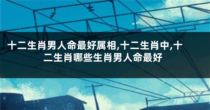 十二生肖男人命最好属相,十二生肖中,十二生肖哪些生肖男人命最好