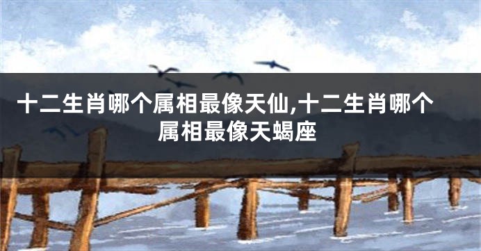 十二生肖哪个属相最像天仙,十二生肖哪个属相最像天蝎座