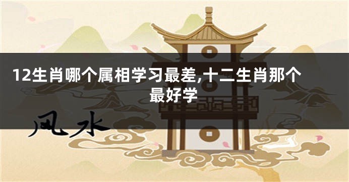12生肖哪个属相学习最差,十二生肖那个最好学