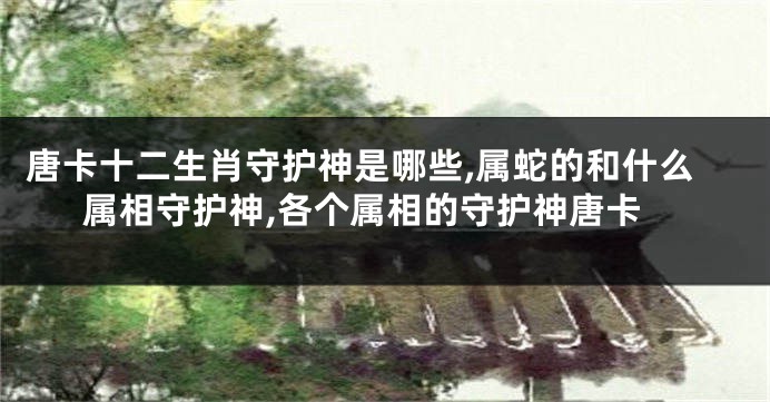 唐卡十二生肖守护神是哪些,属蛇的和什么属相守护神,各个属相的守护神唐卡