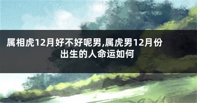属相虎12月好不好呢男,属虎男12月份出生的人命运如何