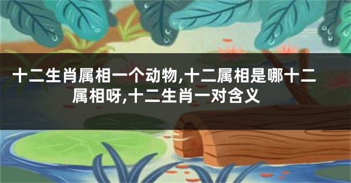 十二生肖属相一个动物,十二属相是哪十二属相呀,十二生肖一对含义
