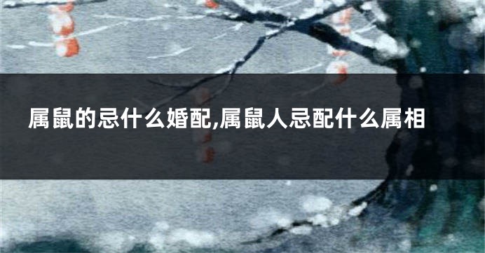 属鼠的忌什么婚配,属鼠人忌配什么属相