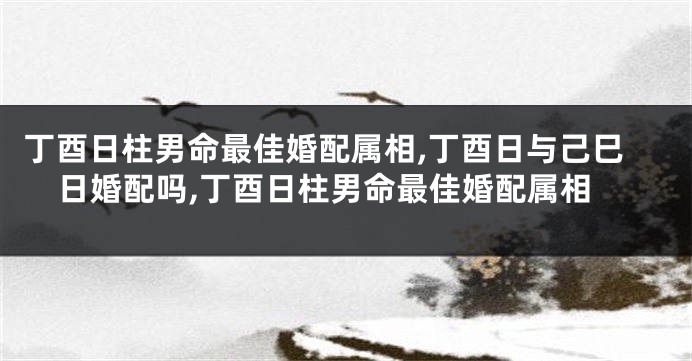 丁酉日柱男命最佳婚配属相,丁酉日与己巳日婚配吗,丁酉日柱男命最佳婚配属相