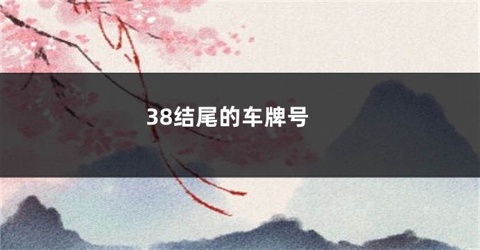 38结尾的车牌号